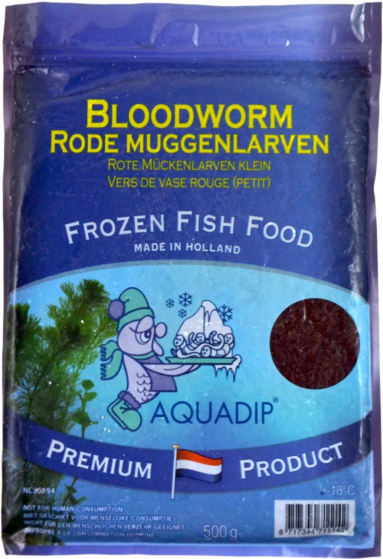 Bloodworm Small 500 gram flatpack frozen AQUADIP
