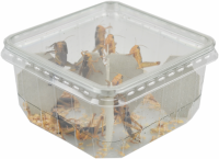 Live reptile food prepack